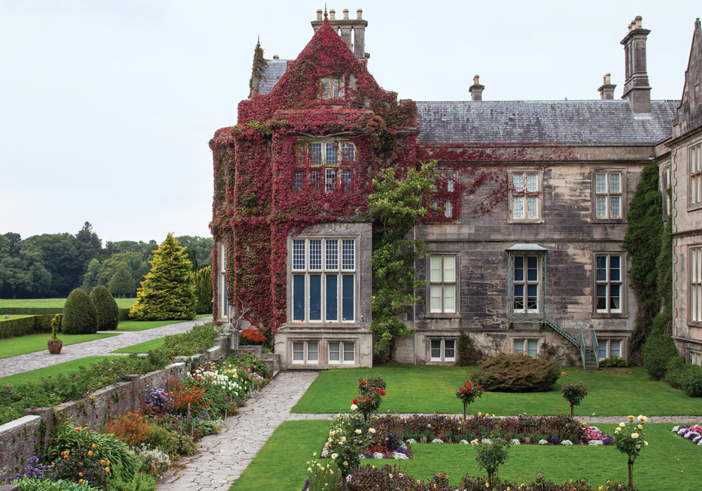 The Garden Issue: A March/April 2021 Preview