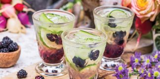 Blackberry Gin and Tonic