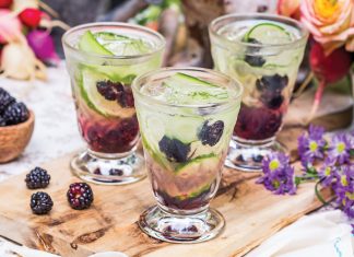 Blackberry Gin and Tonic