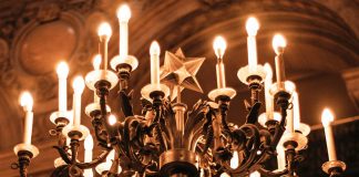 The Ella Shane Mystery Series by Kathleen Marple Kalb