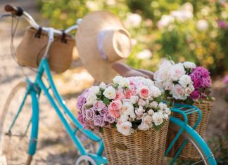 The Summer Issue: A July/August 2021 Preview