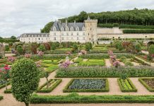 Verdant Villandry