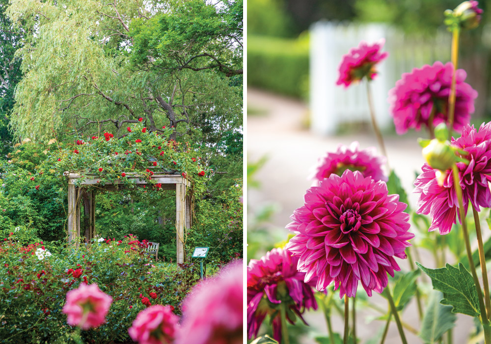 July/August 2020 issue