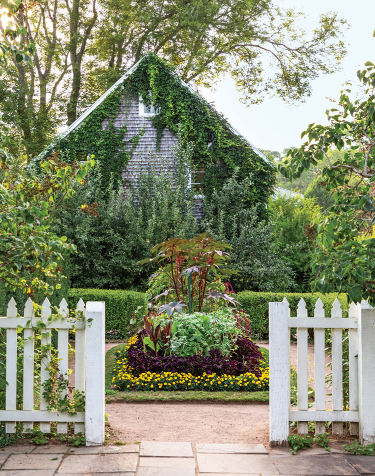 July/August 2020 issue