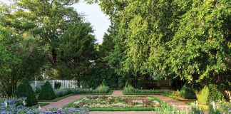 July/August 2020 issue