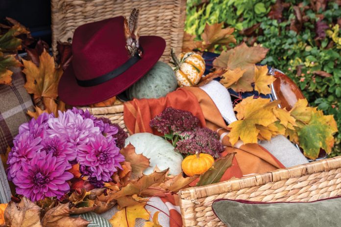 The Autumn Issue: An October 2021 Preview