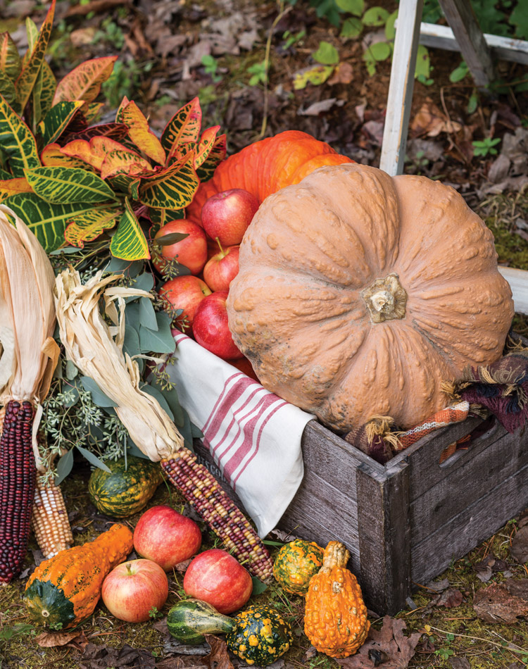 An Autumn Bliss 2021 Preview