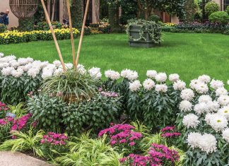 Mad About Mums