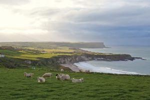 A Tour of Ireland