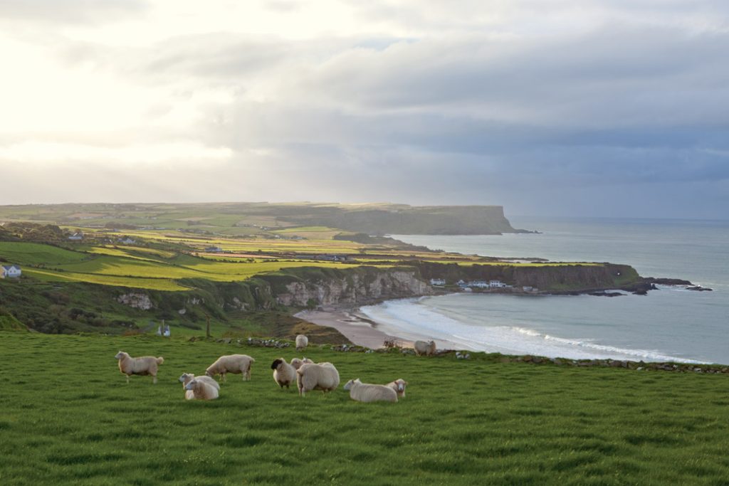 Our Top Ten Posts of 2021