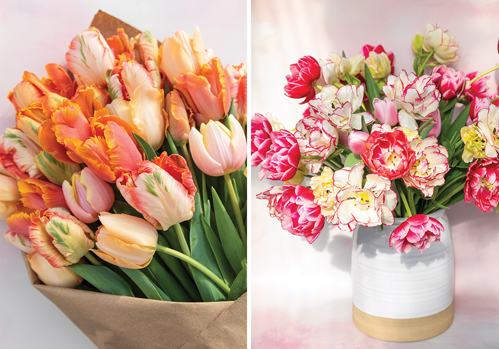 Gardener of Delights