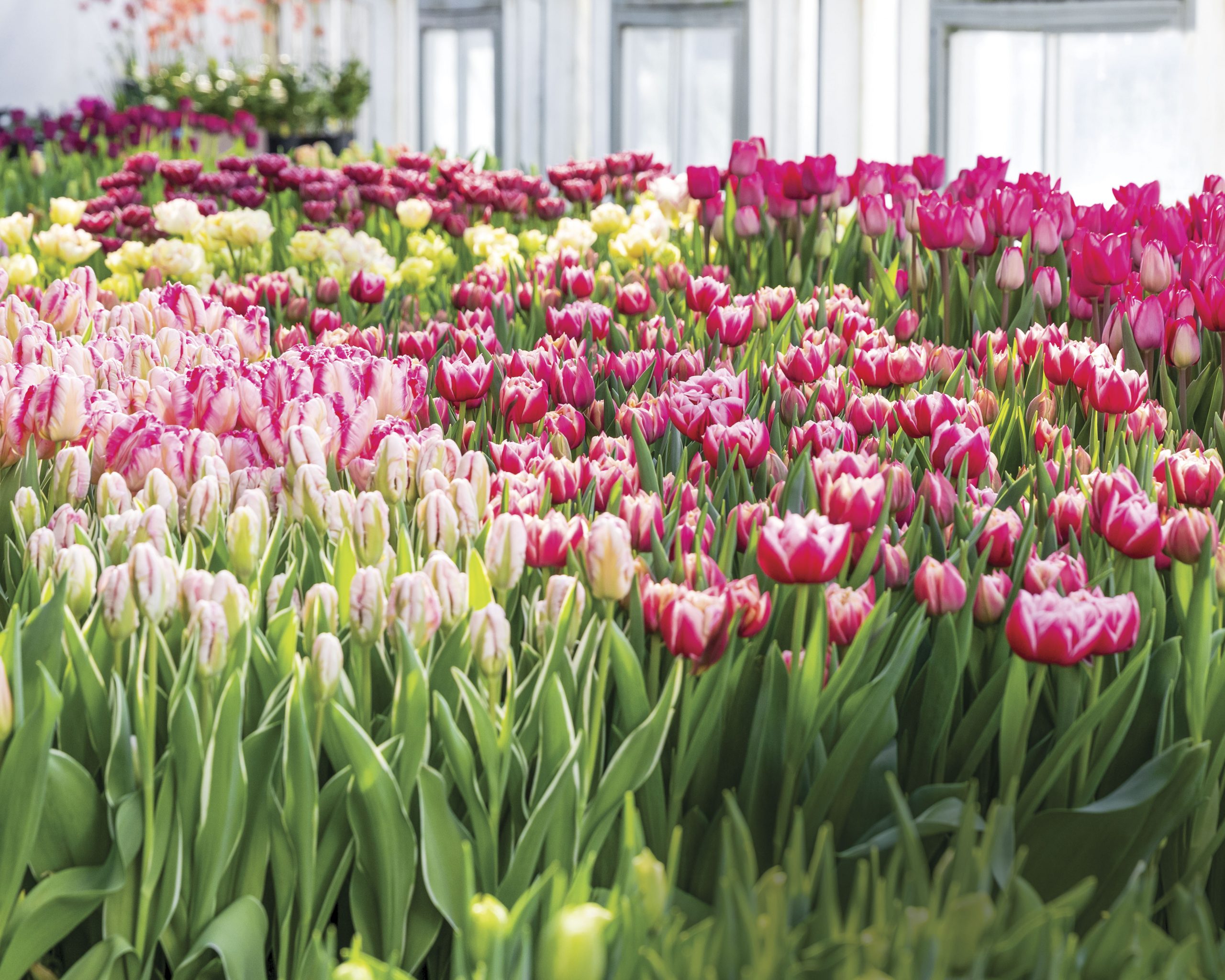 Preview Our March/April 2022 Issue