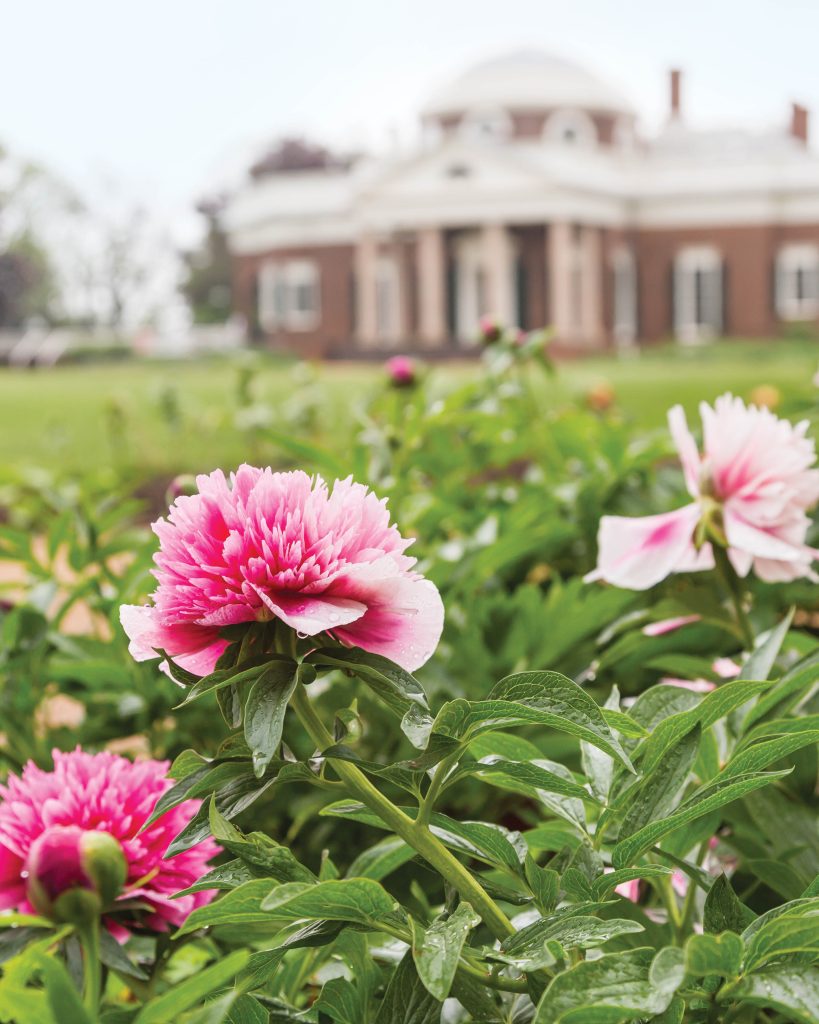 Flowers & Gardens 2022 Issue Preview