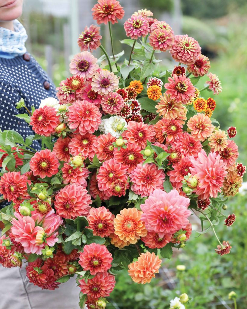 Preview our July/August 2022 Issue