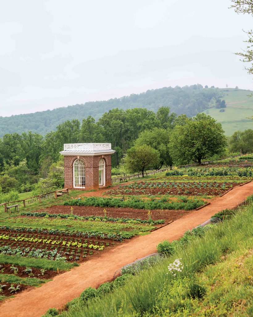 The Belles of the Day