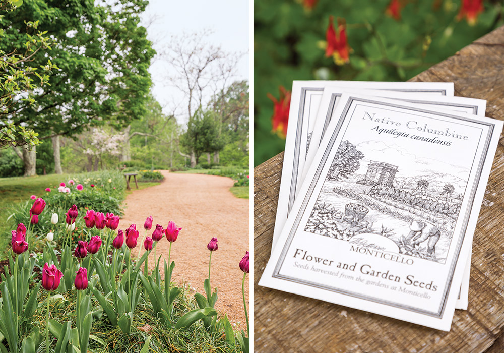 The Belles of the Day