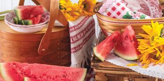 Watermelon Food Story