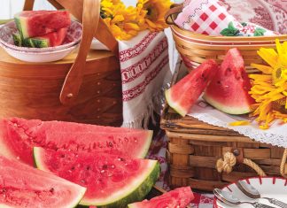Watermelon Food Story