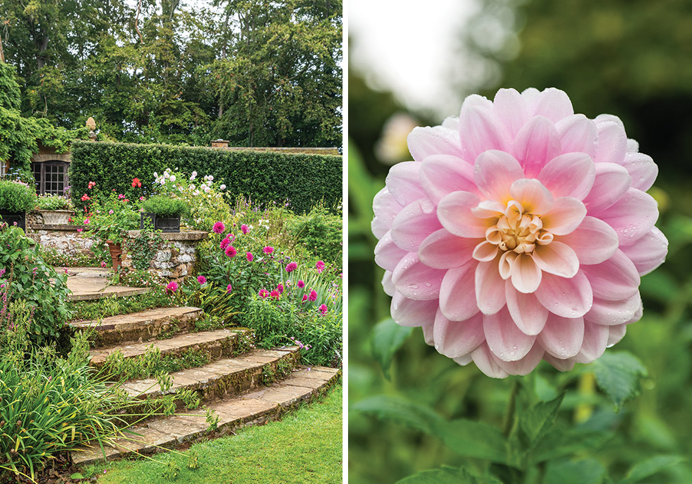 Coton Manor Garden