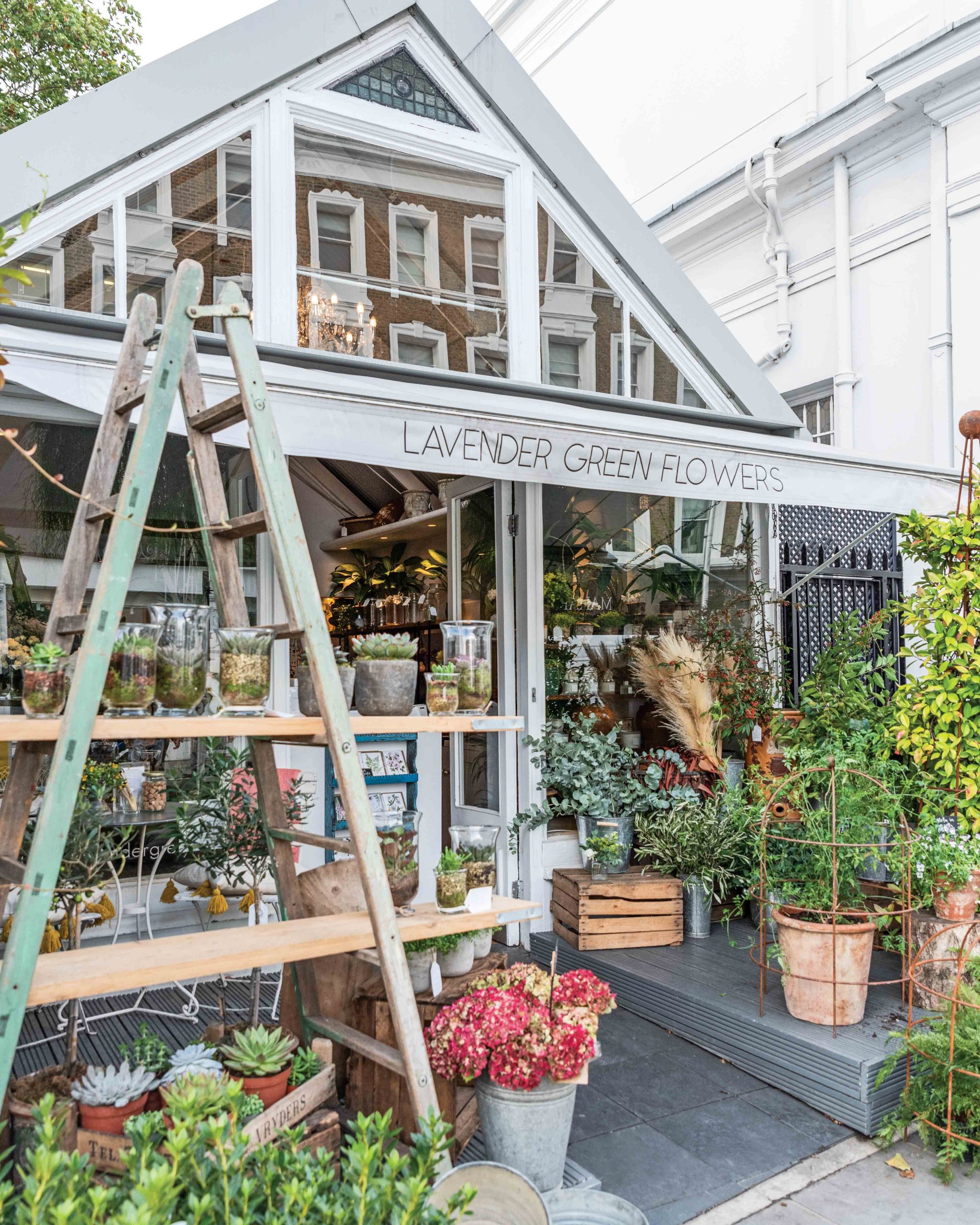 Discover Autumn in London