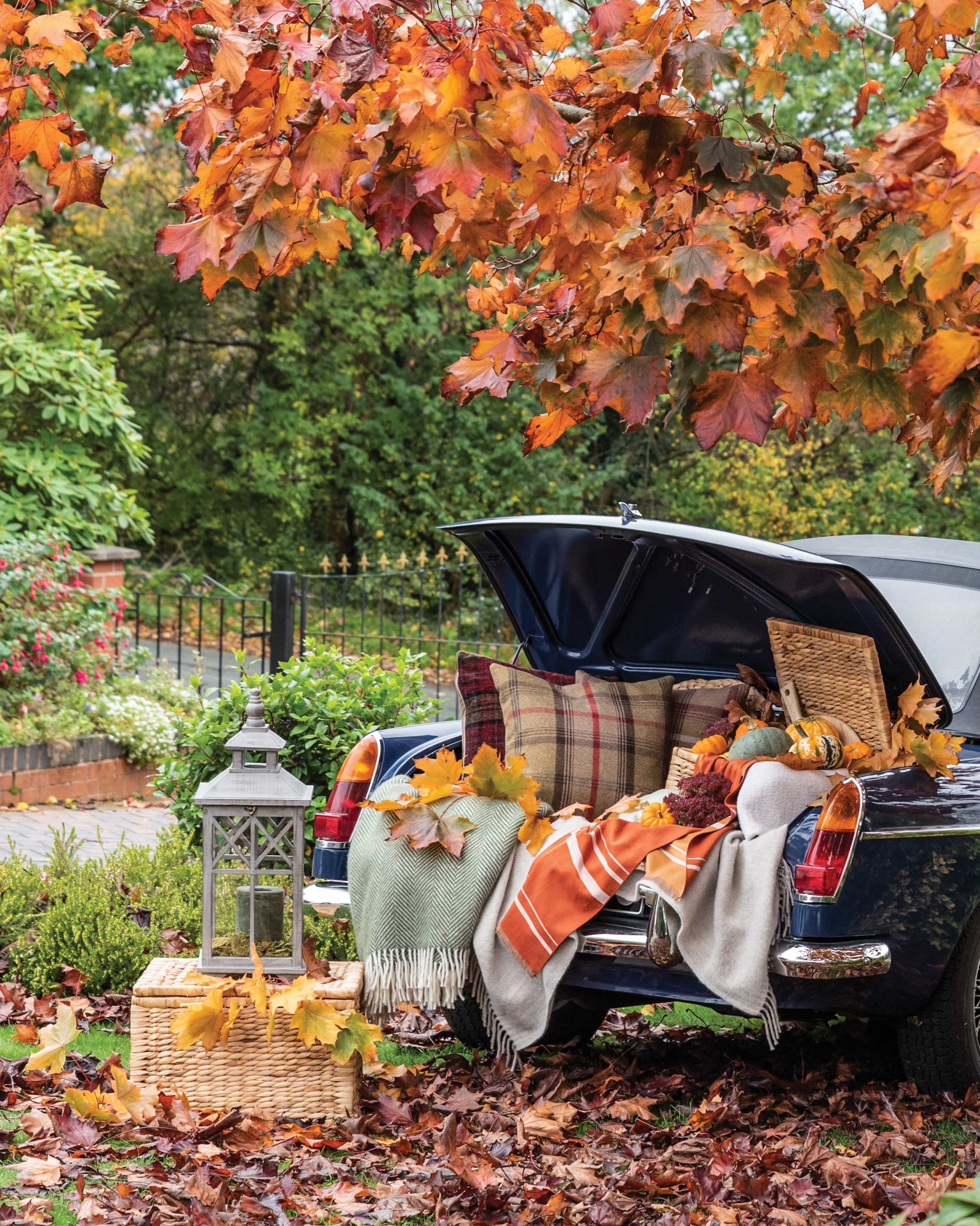 In a stunning autumn scene, an old blue car’s trunk opens to reveal cozy pillows, throws, and pumpkins.
