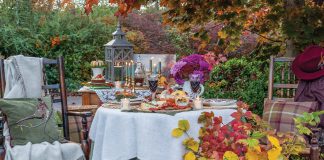 Gathering in the Grove Picnic: An elegant tabletop picnic is set beneath autumn branches.