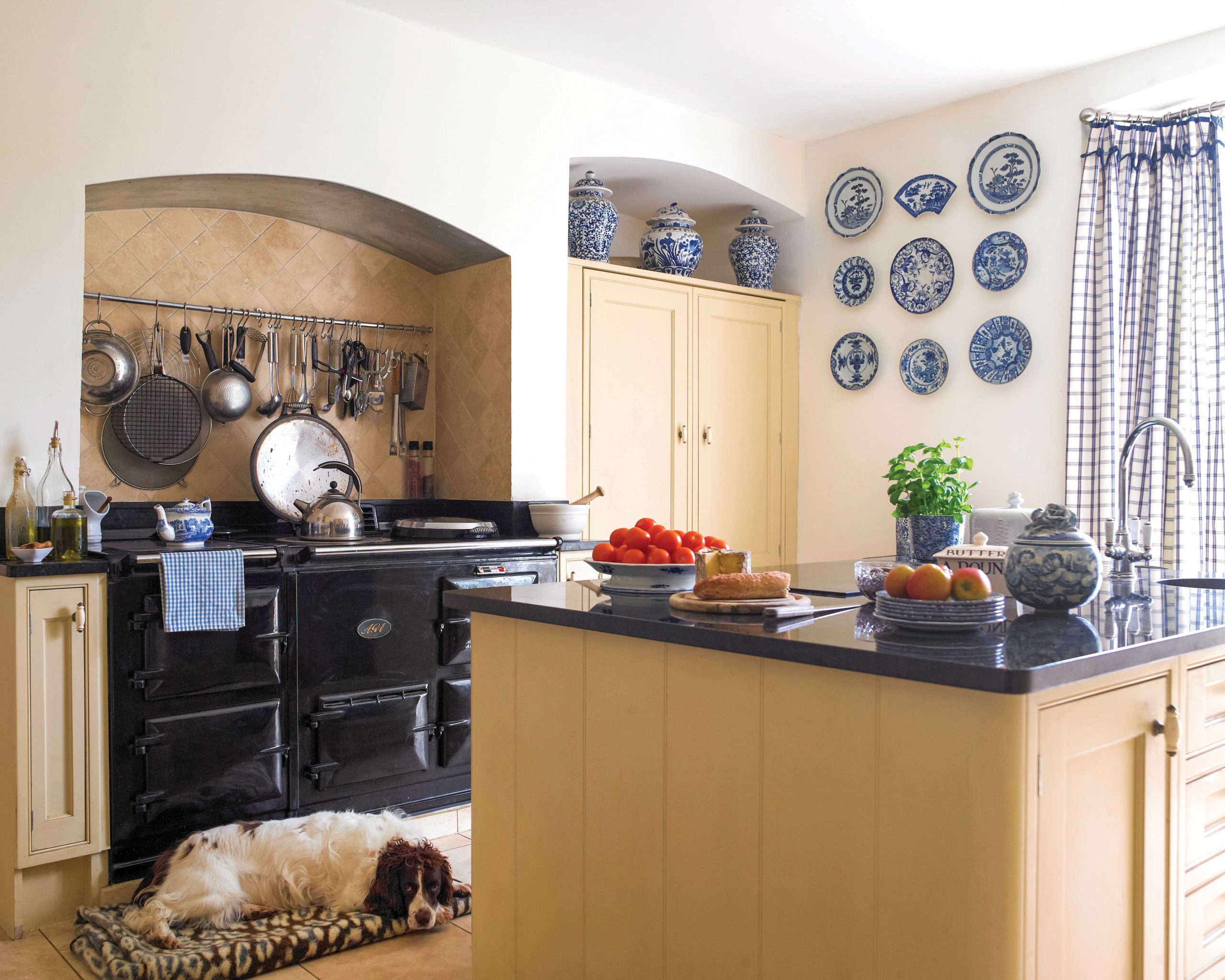 Blue-and-white plates hang on the wall of this kitchen, where one of the family spaniels rests on the floor beside the oven.