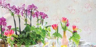 Dress the table for spring brunch in brilliant bouquets and petal-strewn china to greet the morning with a seasonal celebration.