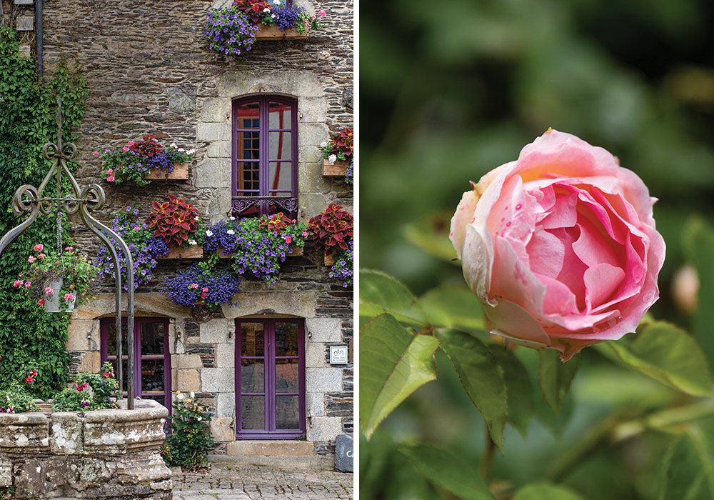 Left: Window boxes and hanging baskets lend their charms to a granite building. Right: A blush blossom paves the way from spring to summer.