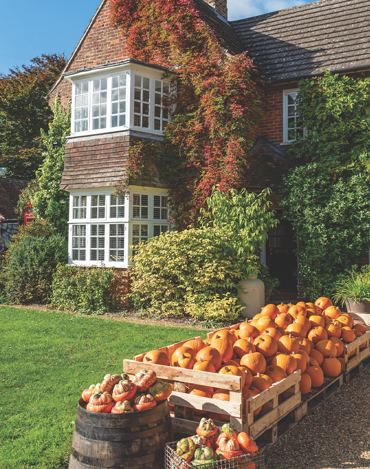 A vine-covered house with white-paned bay windows overlooks a green lawn with a wooden crate and barrel filled with pumpkins.