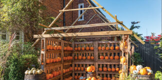 Wooden house-like structure with rows of orange pumpkins lining the shelves.