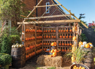 Wooden house-like structure with rows of orange pumpkins lining the shelves.