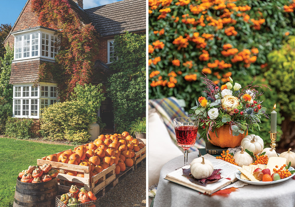 Left: Stalls of vibrant pumpkins sit before an ivy-covered English home. Right: A variety of star pumpkins dress the table in nature’s beauty.