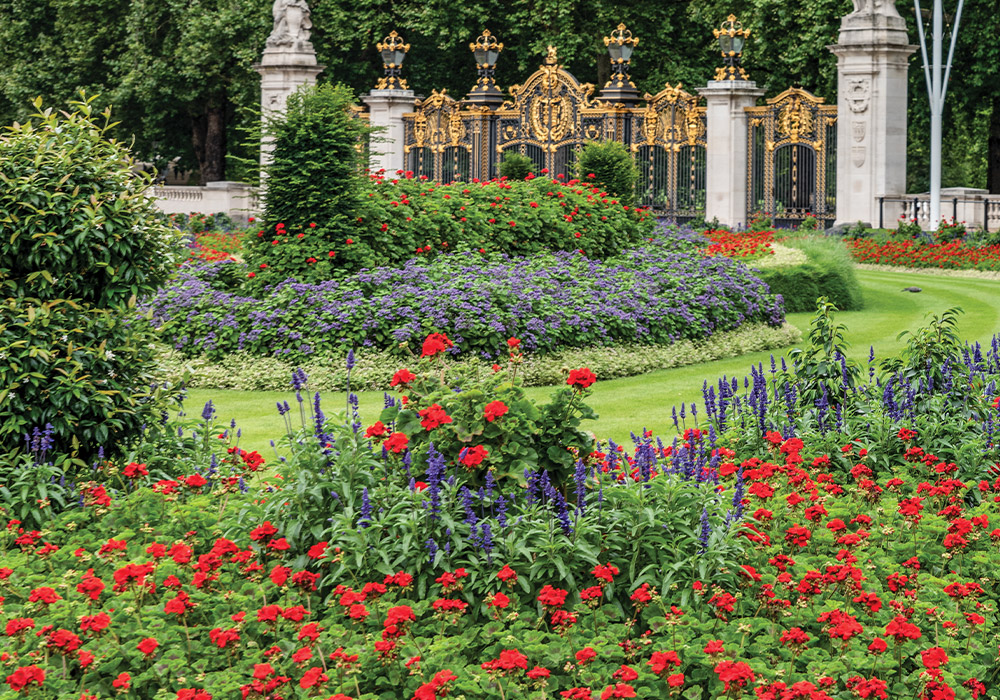 Crown Jewels of the Garden