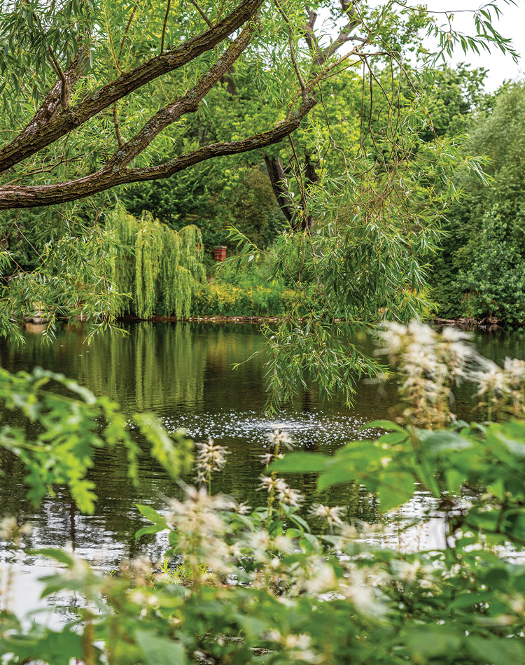 Crown Jewels of the Garden