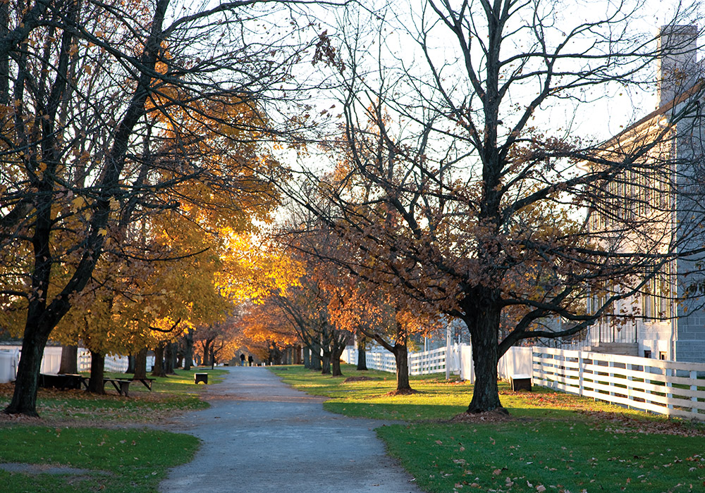 Seasonal Sanctuaries