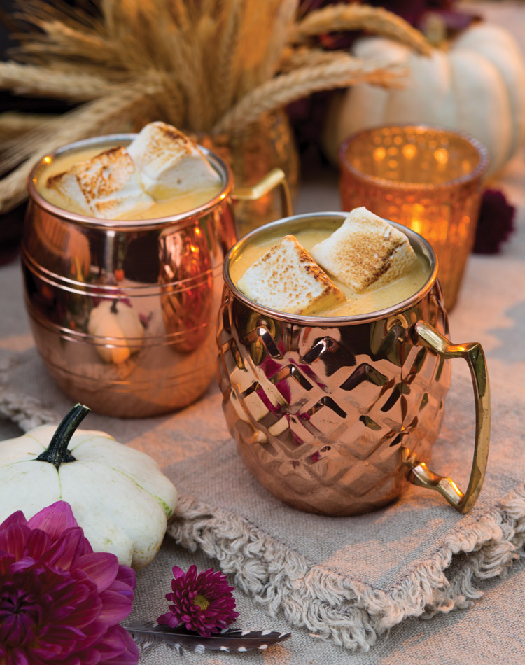 Worth savoring while stars twinkle above, Pumpkin–White Chocolate Hot Chocolate offers a sweet beginning to a delicious evening shared beneath a brilliant night sky.