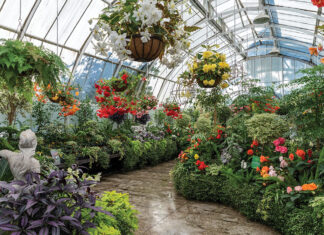 The Garden City Blooms: Christchurch, New Zealand, Botanic Gardens. Arrangement of plants and flowers in beds and hanging baskets inside a domed greenhouse.