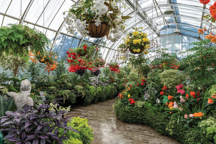 The Garden City Blooms: Christchurch, New Zealand, Botanic Gardens. Arrangement of plants and flowers in beds and hanging baskets inside a domed greenhouse.