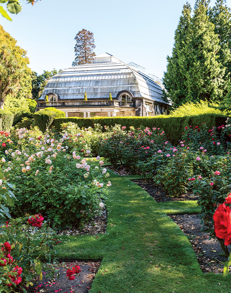 Garden Pathway with grid of flower beds planted with rose bushes and exterior of Cunningham House.