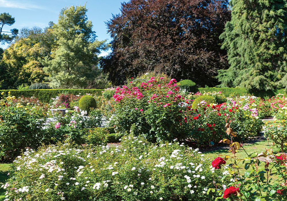 Christchurch Botanic Gardens flowers beds planted with bushes and trees.