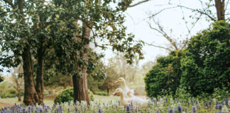 Spring welcomes new life to Mayhurst Estate, where ducklings frolic among the wildflowers.