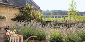 An antique wheelbarrow filled with pink roses sits at the edge of a lavender bed in this Loire Valley garden.
