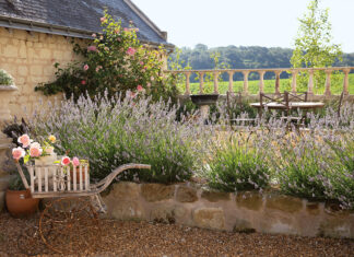 An antique wheelbarrow filled with pink roses sits at the edge of a lavender bed in this Loire Valley garden.