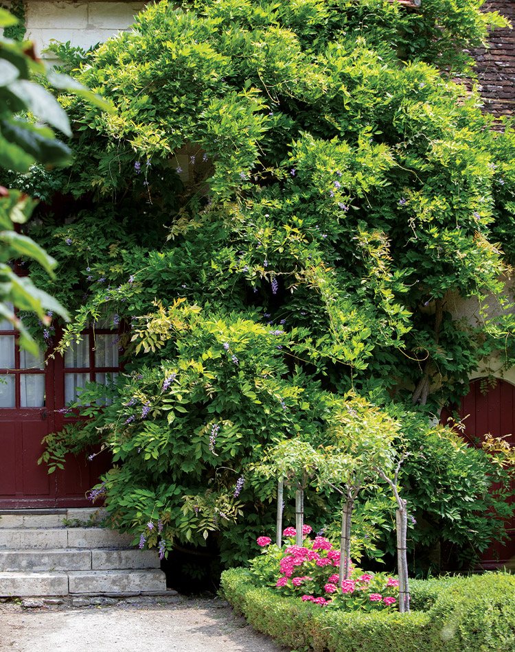 One of the outdoor settings at Château de Chenonceau proves the verdant beauty of this estate.