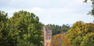 The reddish stone façade of Glamis Castle peeks through the trees, while speckles of sheep graze in the meadow nearby. As seen in our September/October 2024 issue.