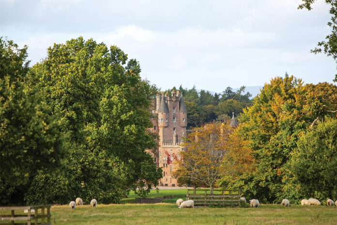 The reddish stone façade of Glamis Castle peeks through the trees, while speckles of sheep graze in the meadow nearby. As seen in our September/October 2024 issue.