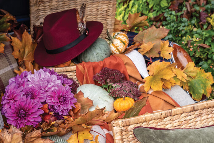 Natural trunks spill with pumpkins, mums, and fall leaves in this collection of autumn’s bounty nestled in the trunk of a classic car.