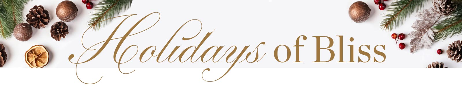 VIC_HolidaysofBlissShop24-webbanner - Victoria Holidays of Bliss