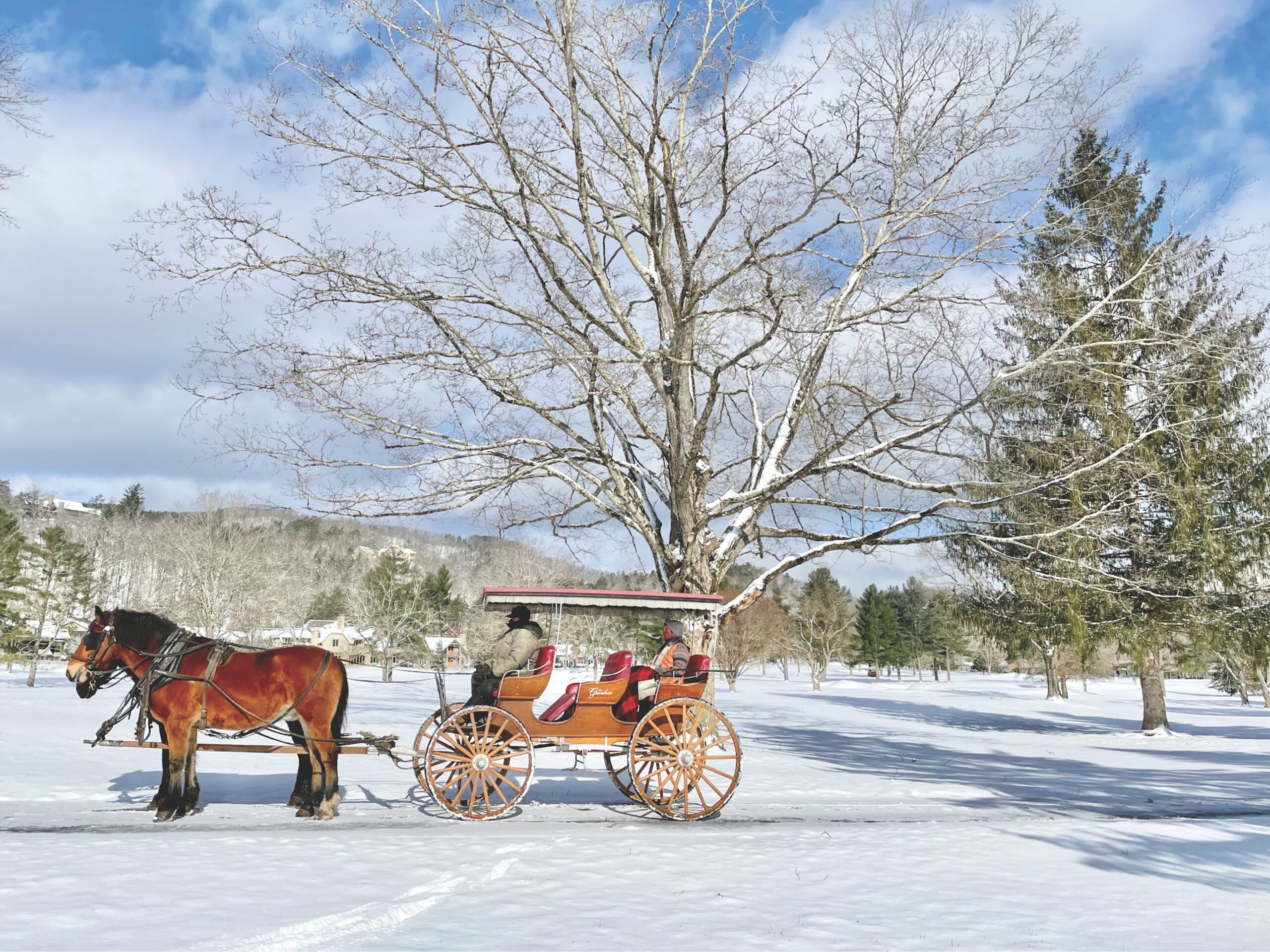 A horse pulls a carriage through the snow at the Greenbrier hotel.